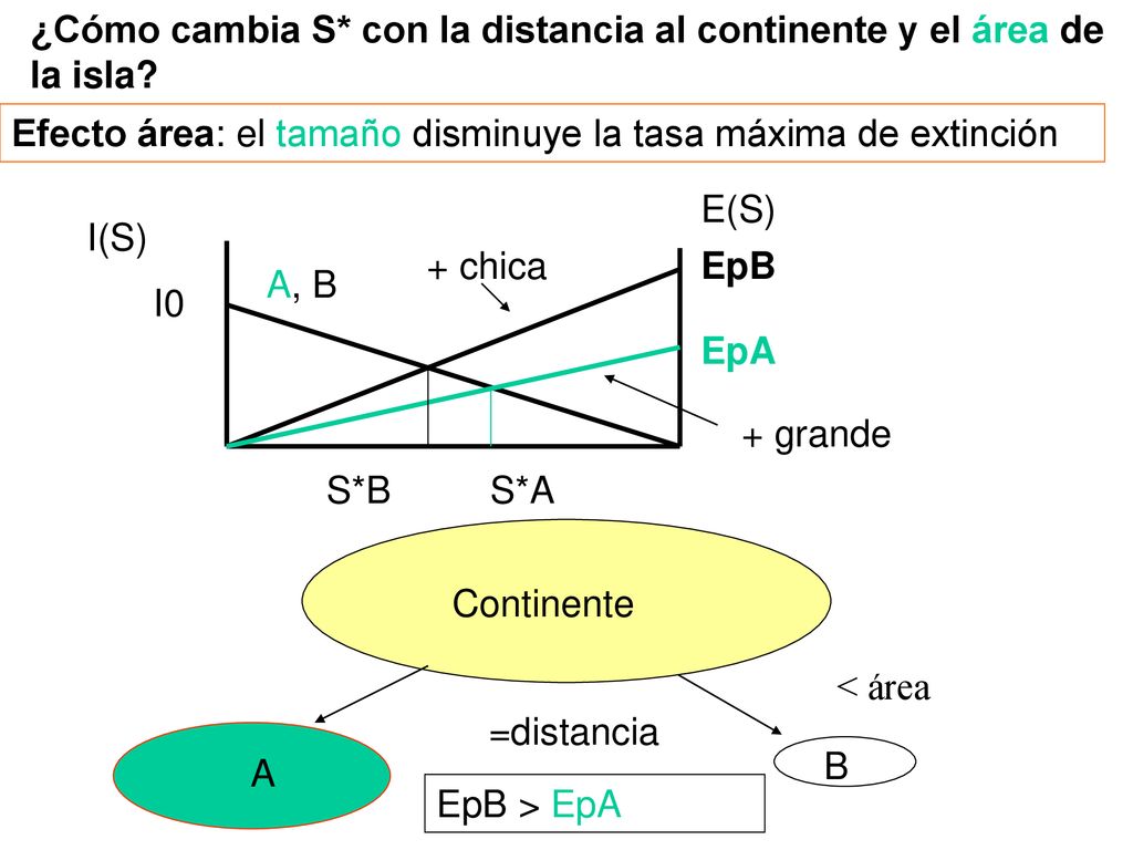 ¿Cómo cambia S* con la distancia al continente y el área de la isla