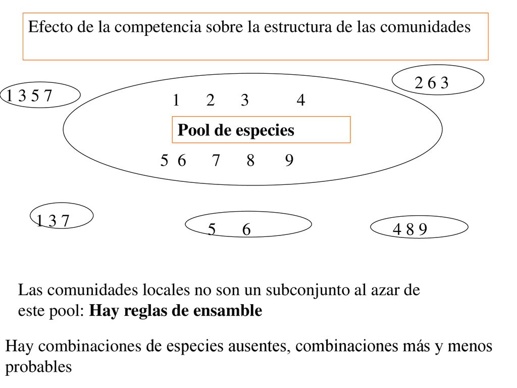 Efecto de la competencia sobre la estructura de las comunidades