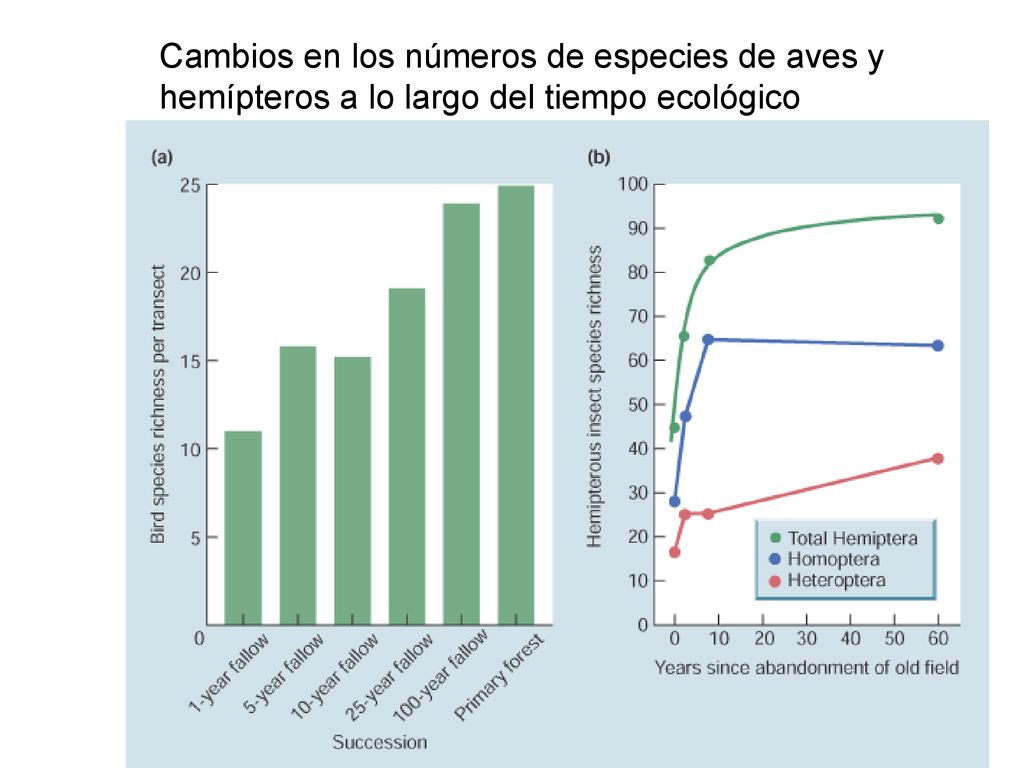 Cambios en los números de especies de aves y hemípteros a lo largo del tiempo ecológico