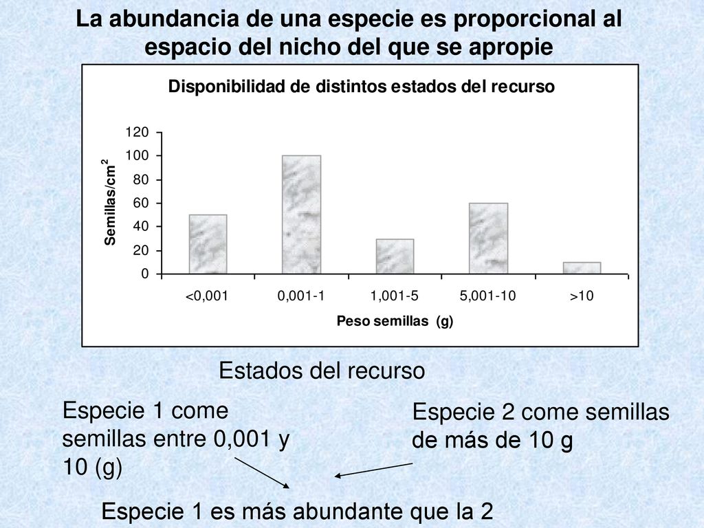 La abundancia de una especie es proporcional al espacio del nicho del que se apropie