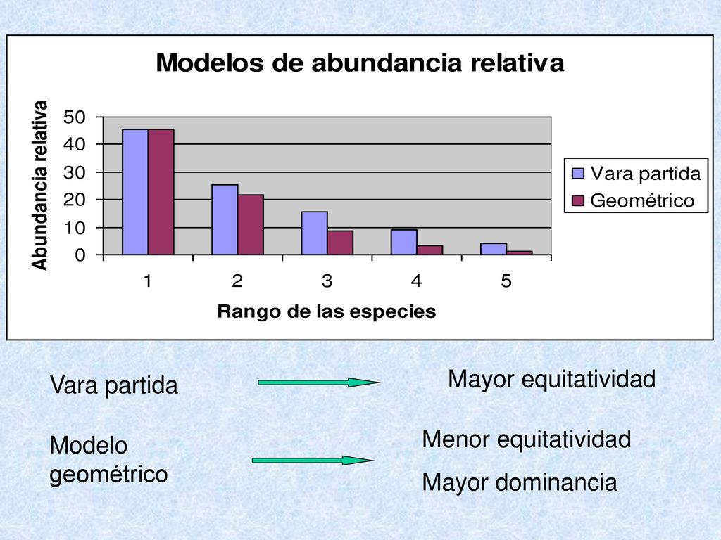 Mayor equitatividad Vara partida Menor equitatividad Mayor dominancia Modelo geométrico
