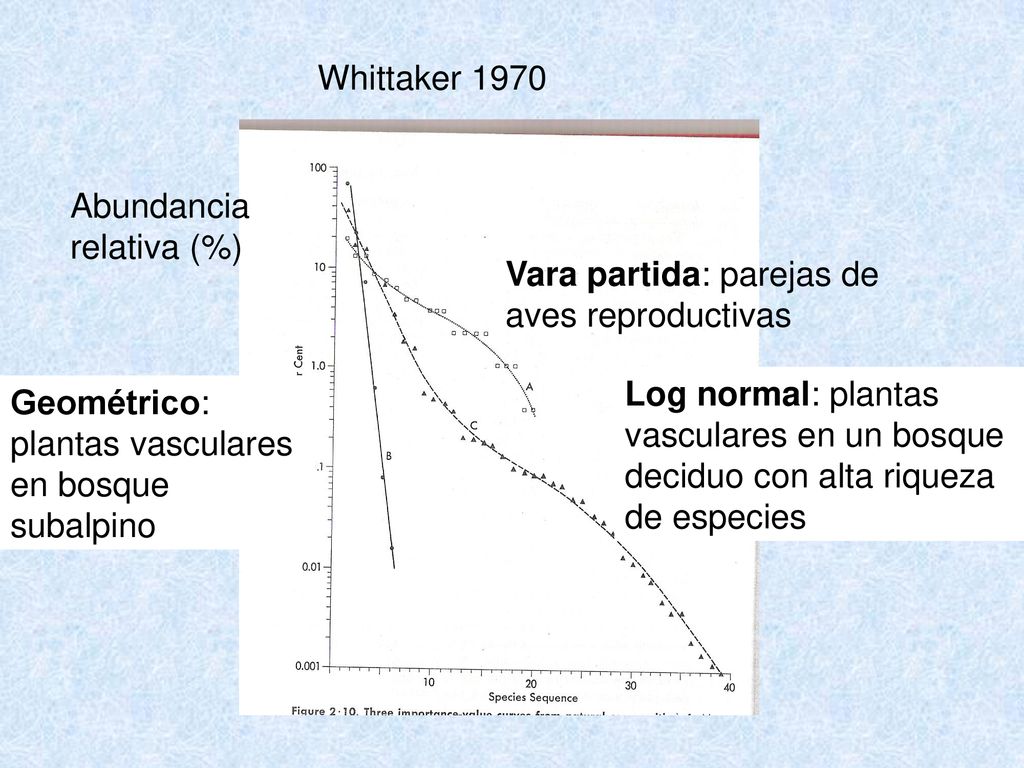 Whittaker 1970 Abundancia relativa (%) Vara partida: parejas de aves reproductivas.