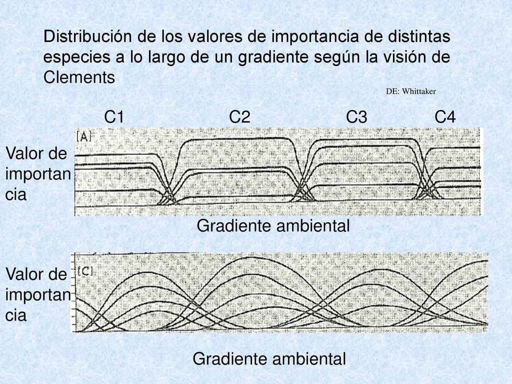 Distribución de los valores de importancia de distintas especies a lo largo de un gradiente según la visión de Clements