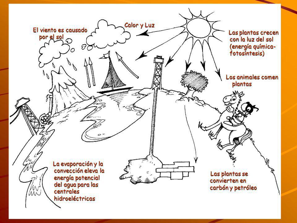 Calor y Luz El viento es causado por el sol. Las plantas crecen con la luz del sol (energía química- fotosíntesis)