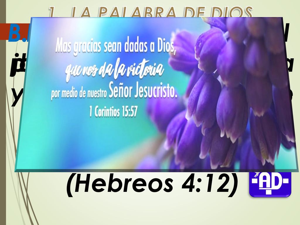 LA PALABRA DE DIOS B. ¿Con qué limpiara el joven su camino Con guardar la palabra (Salmo 119:9)