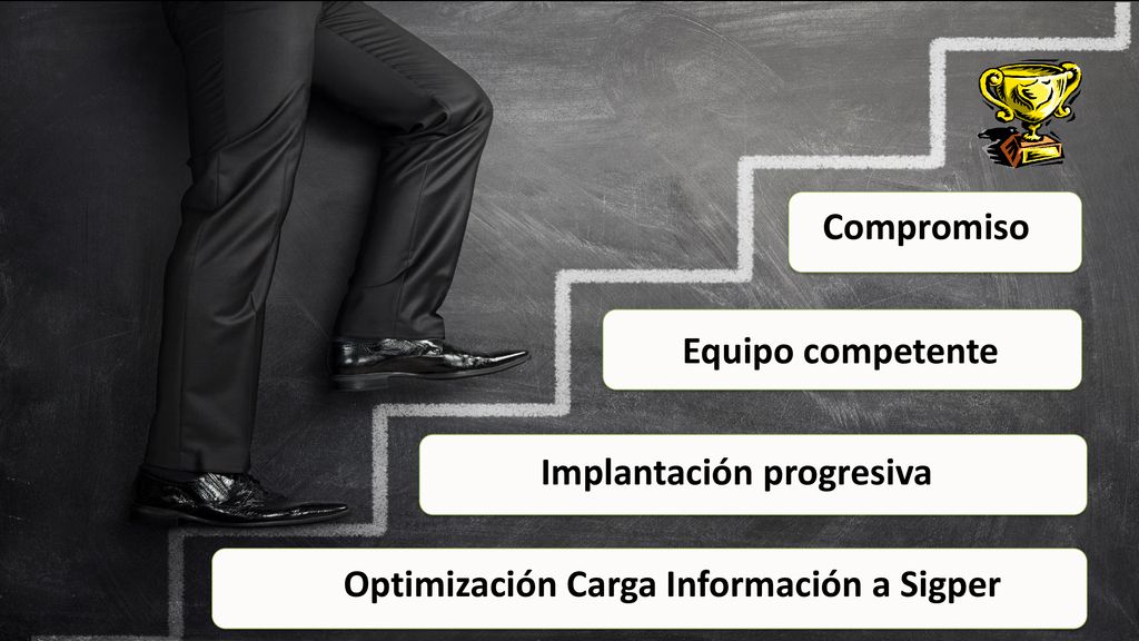 Compromiso Equipo competente Implantación progresiva Optimización Carga Información a Sigper