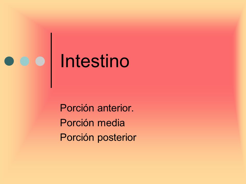 Porción anterior. Porción media Porción posterior