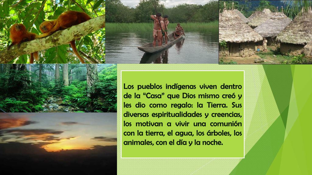 Los pueblos indígenas viven dentro de la Casa que Dios mismo creó y les dio como regalo: la Tierra.