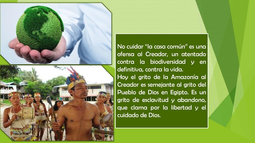 No cuidar la casa común es una ofensa al Creador, un atentado contra la biodiversidad y en definitiva, contra la vida.