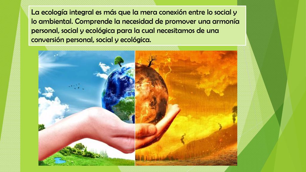 La ecología integral es más que la mera conexión entre lo social y lo ambiental.