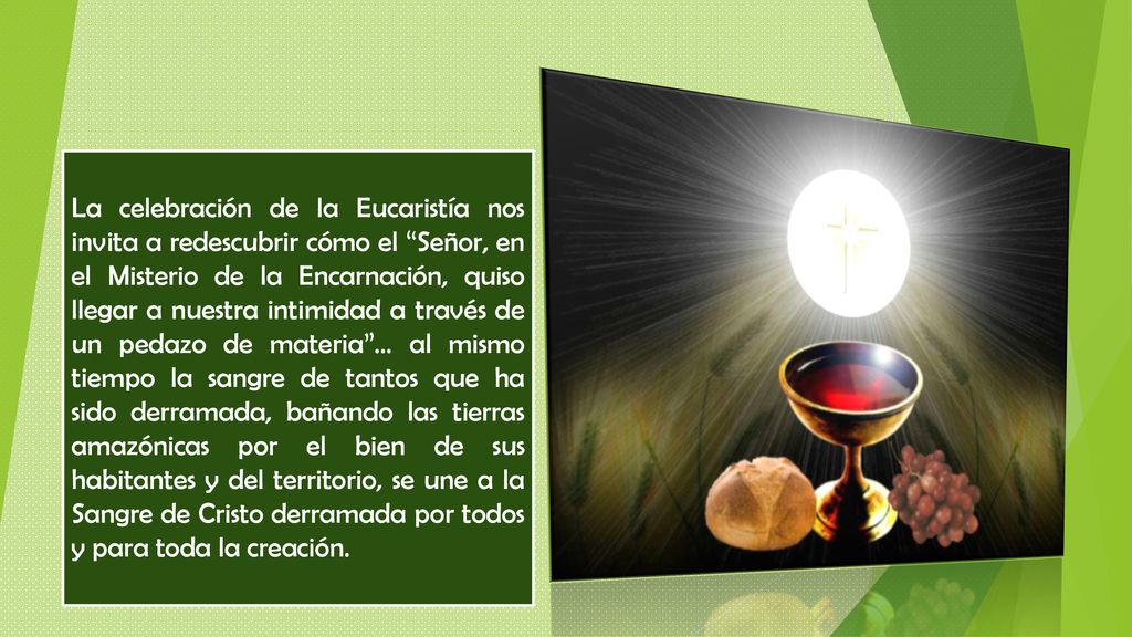 La celebración de la Eucaristía nos invita a redescubrir cómo el Señor, en el Misterio de la Encarnación, quiso llegar a nuestra intimidad a través de un pedazo de materia … al mismo tiempo la sangre de tantos que ha sido derramada, bañando las tierras amazónicas por el bien de sus habitantes y del territorio, se une a la Sangre de Cristo derramada por todos y para toda la creación.