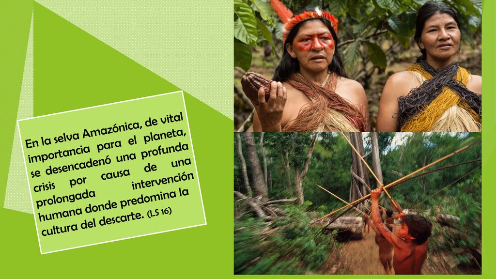 En la selva Amazónica, de vital importancia para el planeta, se desencadenó una profunda crisis por causa de una prolongada intervención humana donde predomina la