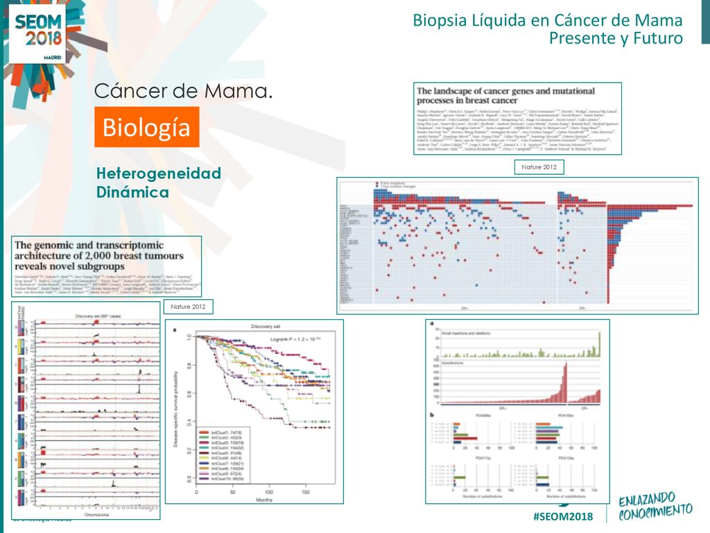 Biología Cáncer de Mama. Biopsia Líquida en Cáncer de Mama