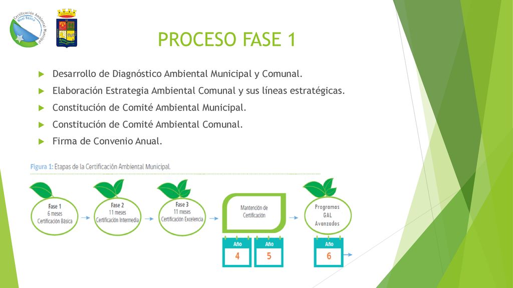 PROCESO FASE 1 Desarrollo de Diagnóstico Ambiental Municipal y Comunal. Elaboración Estrategia Ambiental Comunal y sus líneas estratégicas.