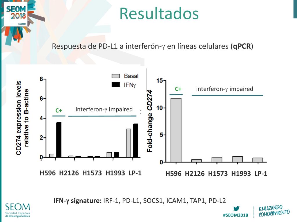 Resultados Respuesta de PD-L1 a interferón-g en líneas celulares (qPCR) C+ JAK2 mutant. C+ H596 H2126 H1573 H1993 LP-1.