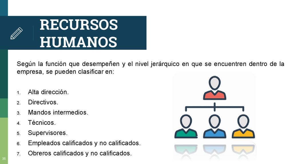 RECURSOS HUMANOS Según la función que desempeñen y el nivel jerárquico en que se encuentren dentro de la empresa, se pueden clasificar en: