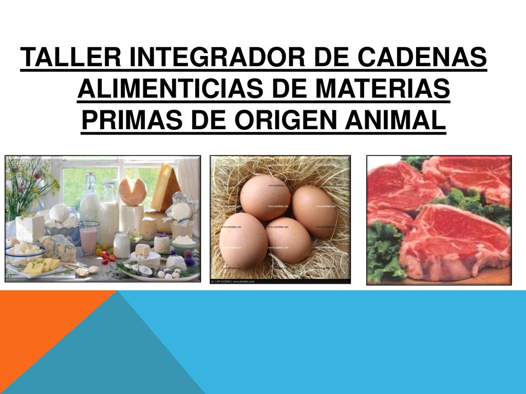 TALLER INTEGRADOR DE CADENAS ALIMENTICIAS DE MATERIAS PRIMAS DE ORIGEN ANIMAL