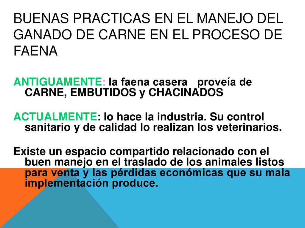 BUENAS PRACTICAS EN EL MANEJO DEL GANADO DE CARNE EN EL PROCESO DE FAENA