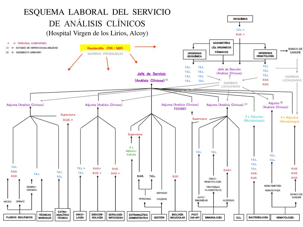 ESQUEMA LABORAL DEL SERVICIO DE ANÁLISIS CLÍNICOS (Hospital Virgen de los Lirios, Alcoy)