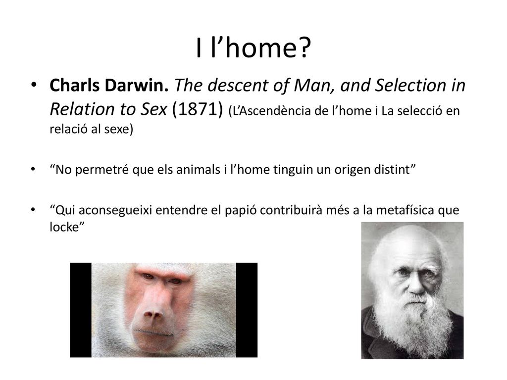 I l’home Charls Darwin. The descent of Man, and Selection in Relation to Sex (1871) (L’Ascendència de l’home i La selecció en relació al sexe)
