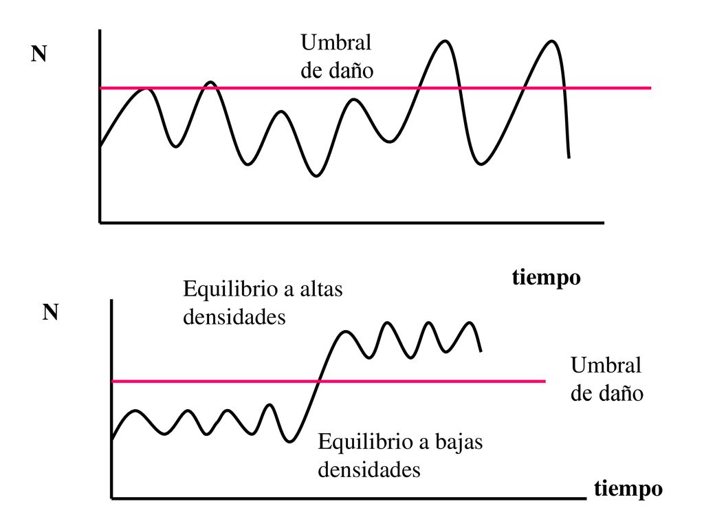 Umbral de daño N. tiempo. Equilibrio a altas densidades. N. Umbral de daño. Equilibrio a bajas densidades.