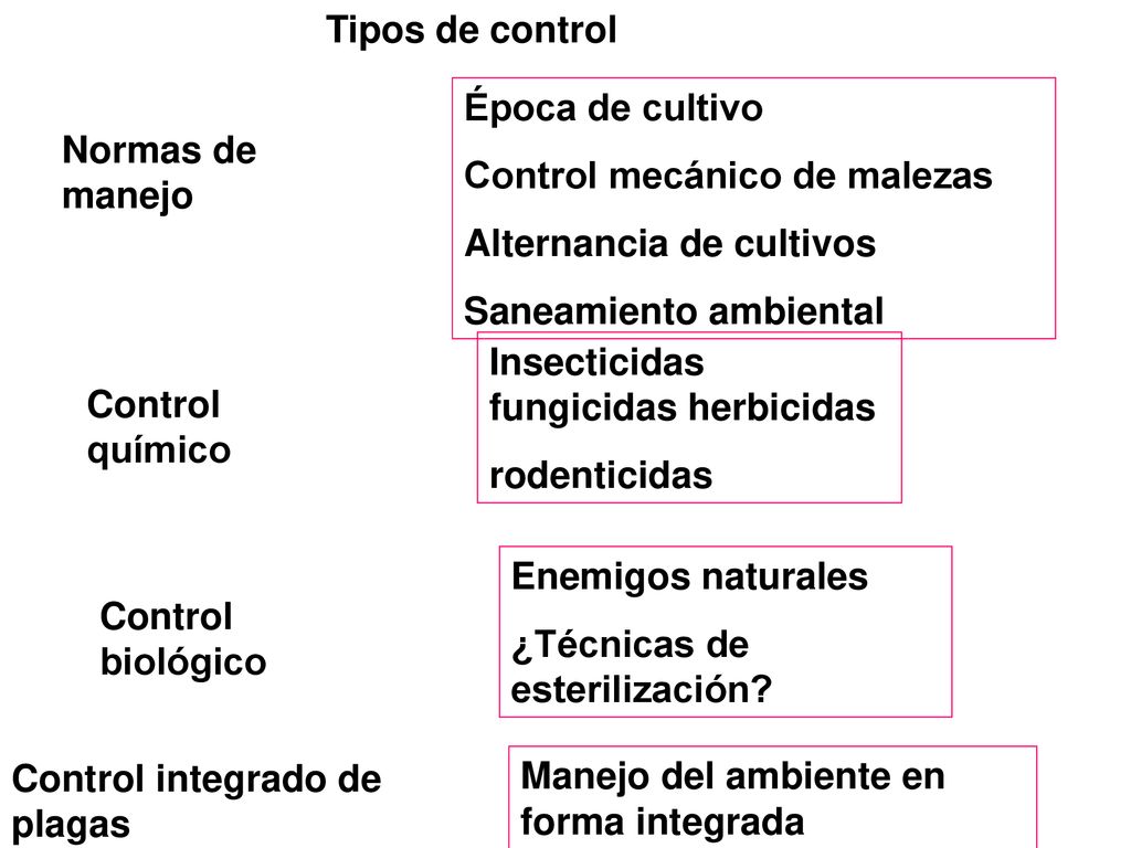 Tipos de control Época de cultivo. Control mecánico de malezas. Alternancia de cultivos. Saneamiento ambiental.