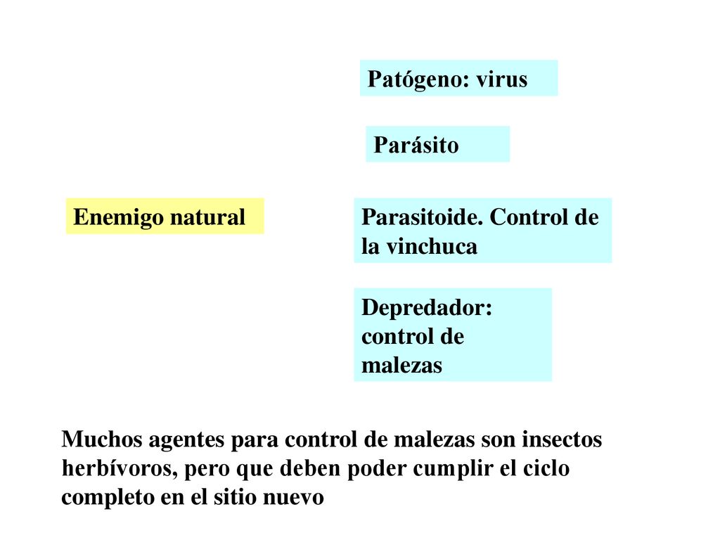 Patógeno: virus Parásito. Enemigo natural. Parasitoide. Control de la vinchuca. Depredador: control de malezas.