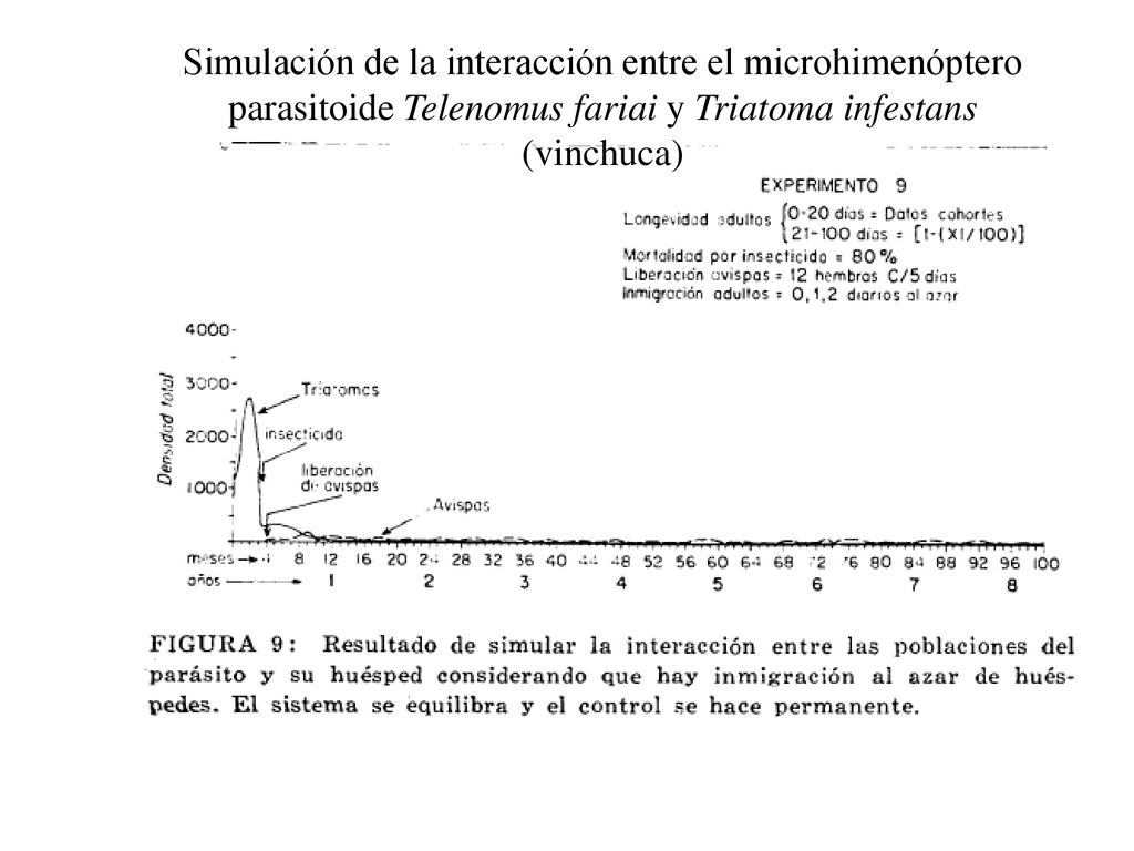 Simulación de la interacción entre el microhimenóptero parasitoide Telenomus fariai y Triatoma infestans (vinchuca)