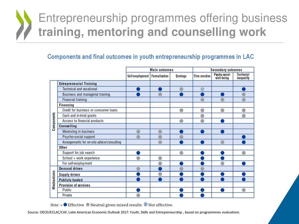 Entrepreneurship programmes offering business training, mentoring and counselling work