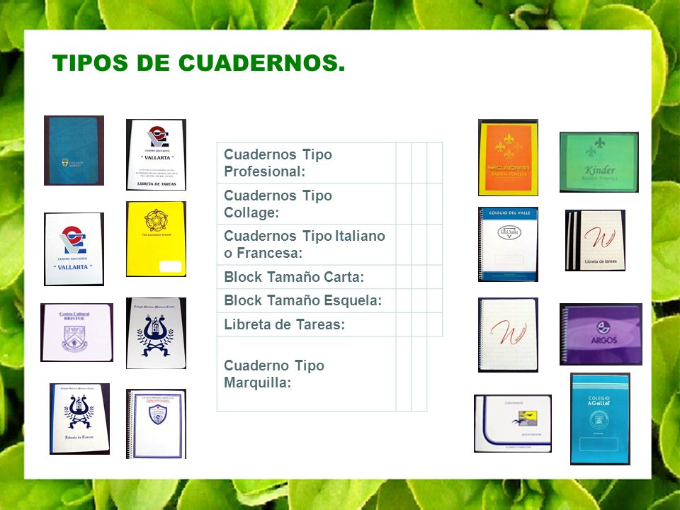 TIPOS DE CUADERNOS. Cuadernos Tipo Profesional:
