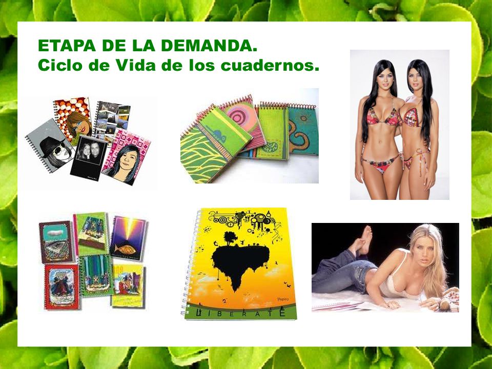 ETAPA DE LA DEMANDA. Ciclo de Vida de los cuadernos.