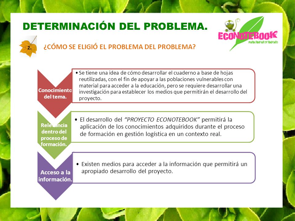 Relevancia dentro del proceso de formación. Acceso a la información.