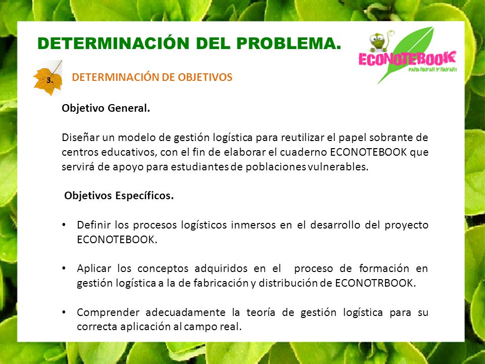 DETERMINACIÓN DEL PROBLEMA.