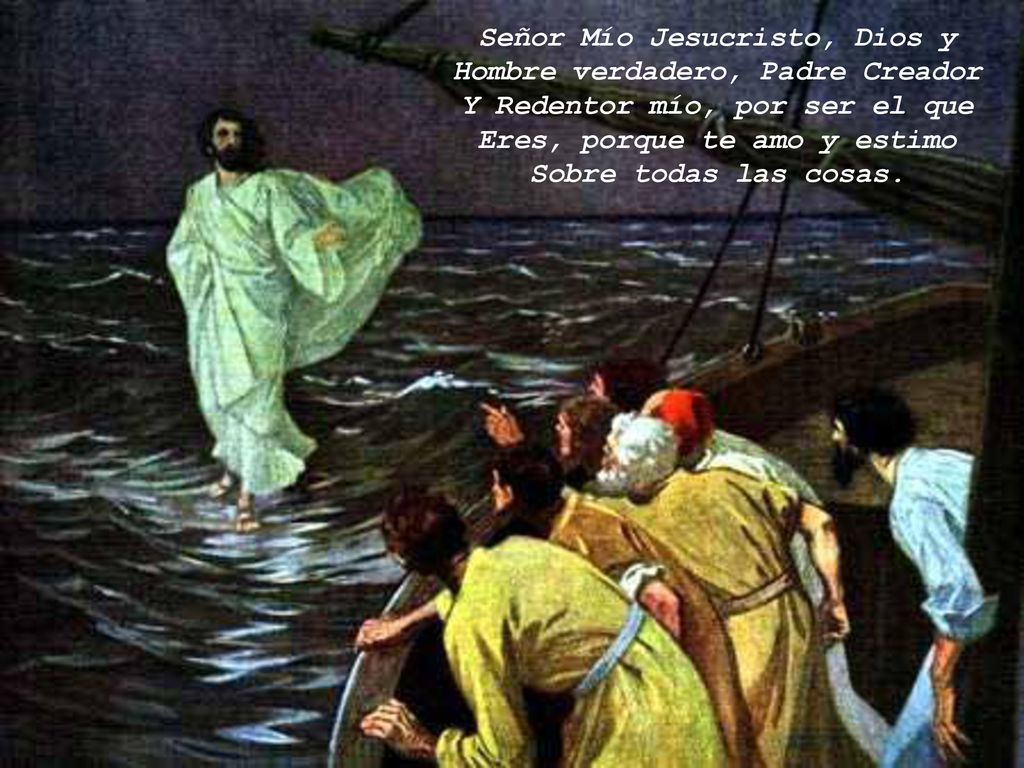 Señor Mío Jesucristo, Dios y Hombre verdadero, Padre Creador