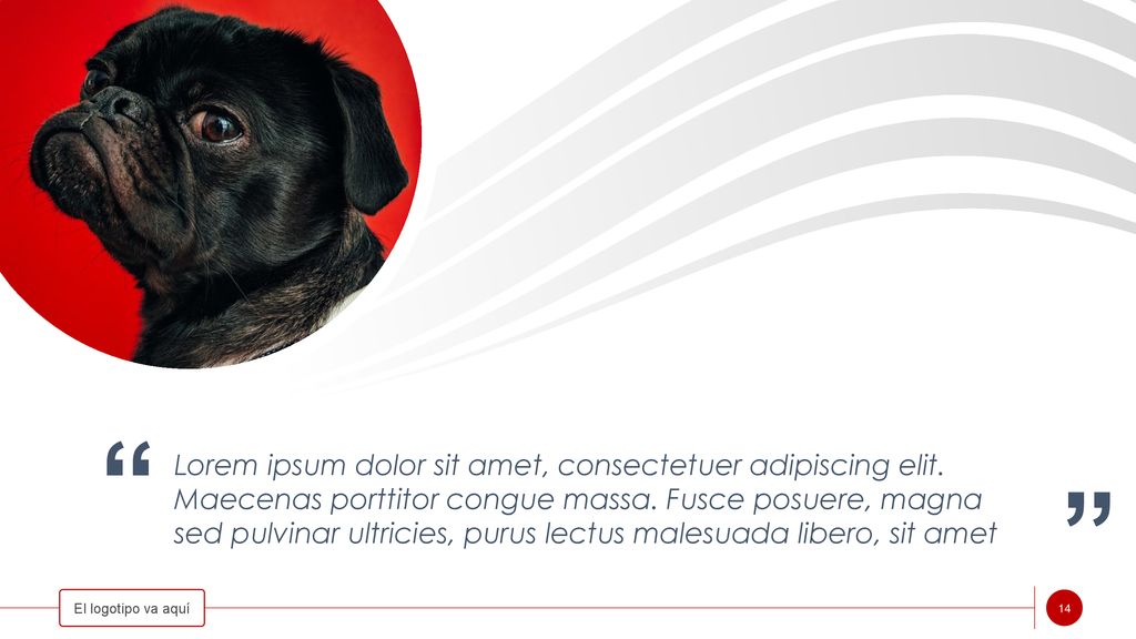 Lorem ipsum dolor sit amet, consectetuer adipiscing elit