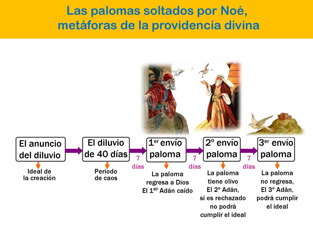 Las palomas soltados por Noé, metáforas de la providencia divina