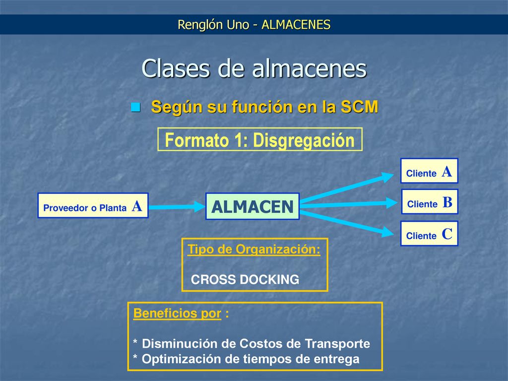 Según su función en la SCM Formato 1: Disgregación