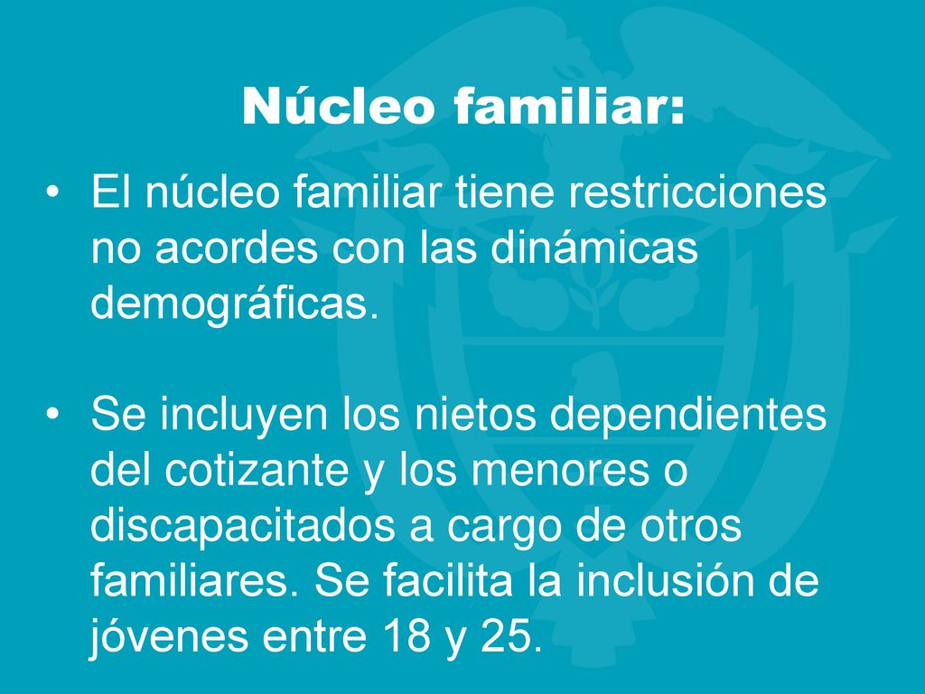 Núcleo familiar: El núcleo familiar tiene restricciones no acordes con las dinámicas demográficas.