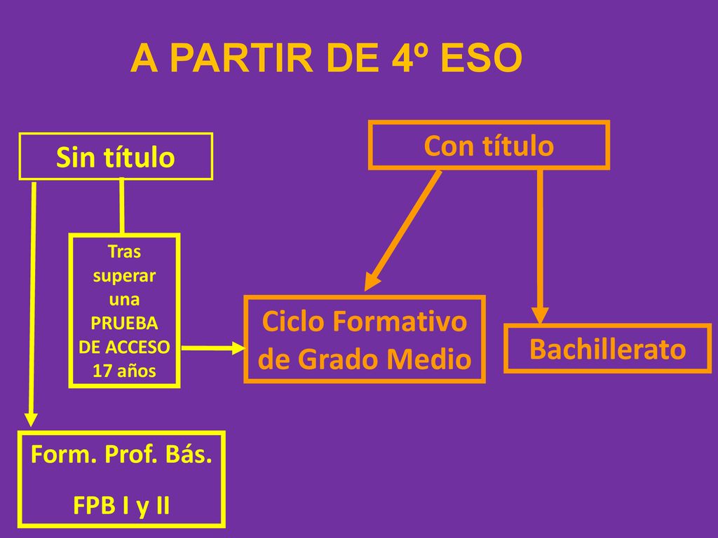 A PARTIR DE 4º ESO Con título Sin título Ciclo Formativo