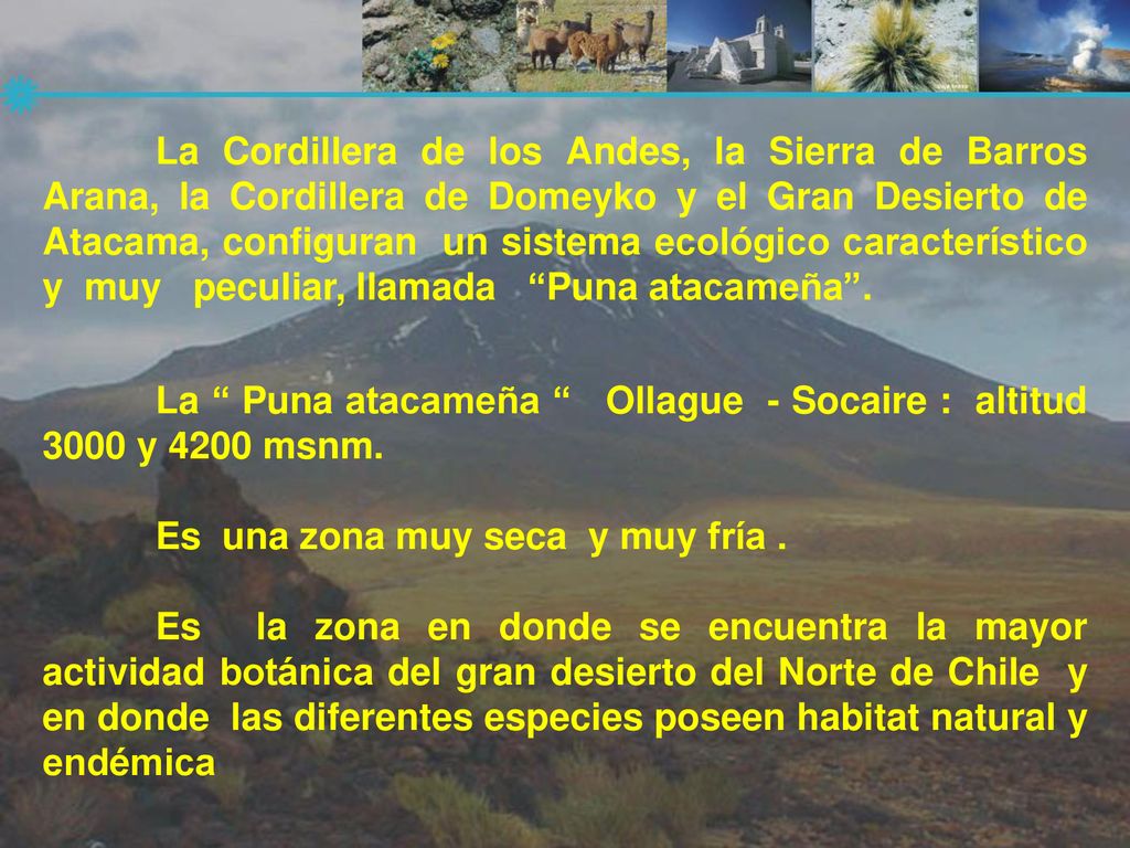 La Cordillera de los Andes, la Sierra de Barros Arana, la Cordillera de Domeyko y el Gran Desierto de Atacama, configuran un sistema ecológico característico y muy peculiar, llamada Puna atacameña .