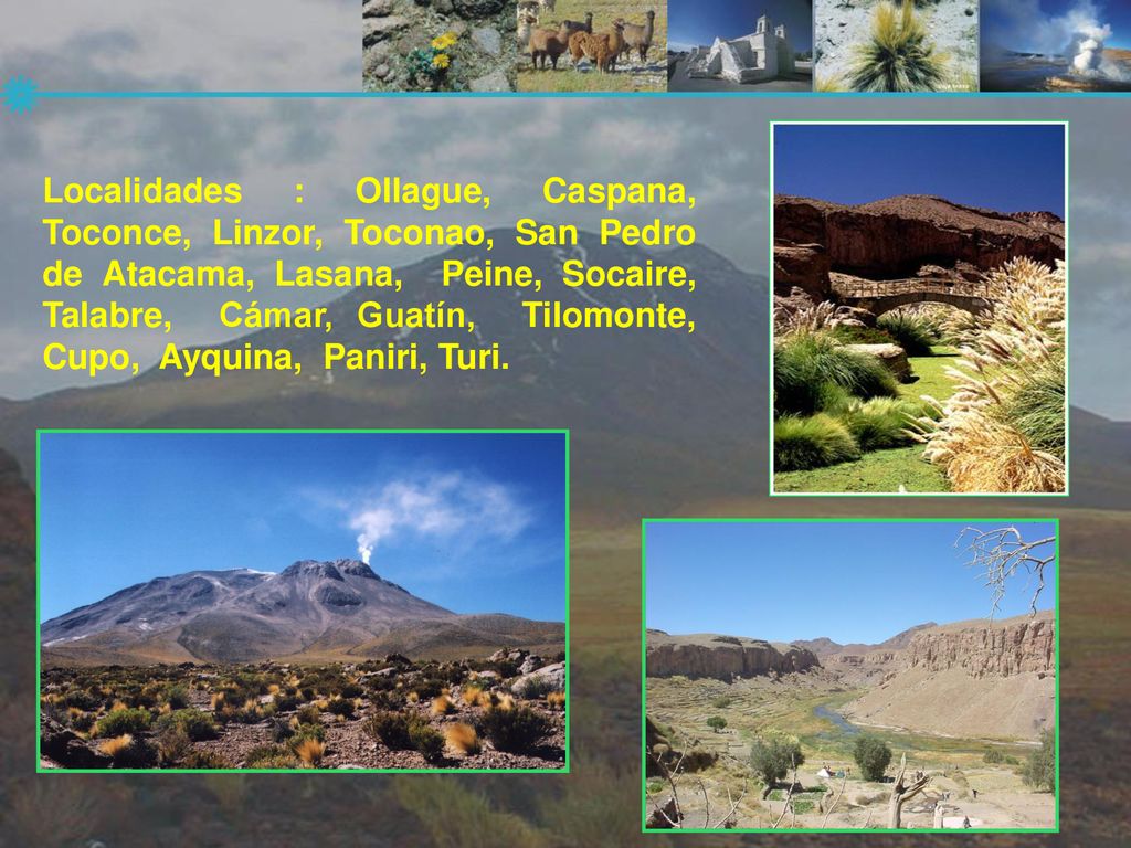 Localidades : Ollague, Caspana, Toconce, Linzor, Toconao, San Pedro de Atacama, Lasana, Peine, Socaire, Talabre, Cámar, Guatín, Tilomonte, Cupo, Ayquina, Paniri, Turi.