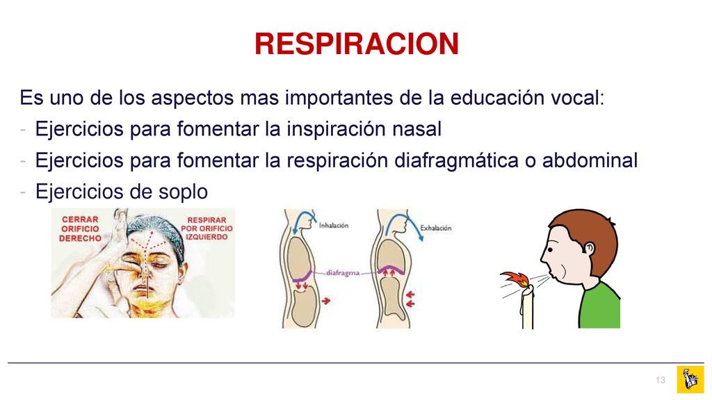 RESPIRACION Es uno de los aspectos mas importantes de la educación vocal: Ejercicios para fomentar la inspiración nasal.