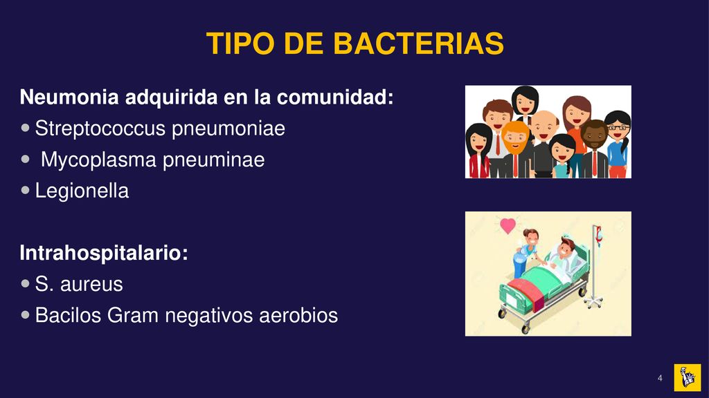 TIPO DE BACTERIAS Neumonia adquirida en la comunidad: