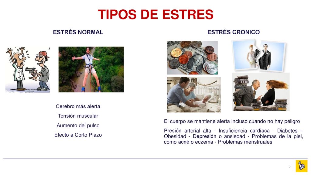 TIPOS DE ESTRES ESTRÉS NORMAL ESTRÉS CRONICO Cerebro más alerta
