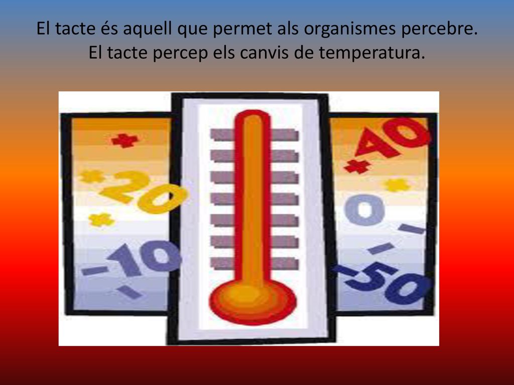 El tacte és aquell que permet als organismes percebre