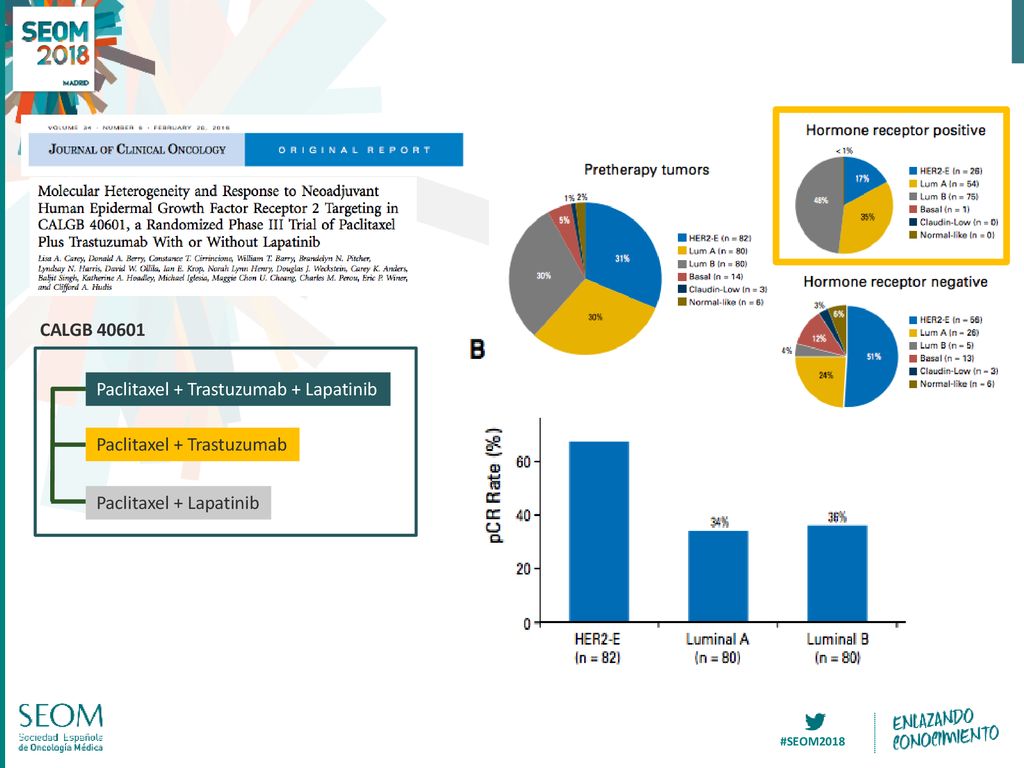 CALGB Paclitaxel + Trastuzumab Paclitaxel + Trastuzumab + Lapatinib Paclitaxel + Lapatinib