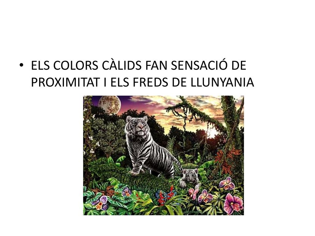 ELS COLORS CÀLIDS FAN SENSACIÓ DE PROXIMITAT I ELS FREDS DE LLUNYANIA