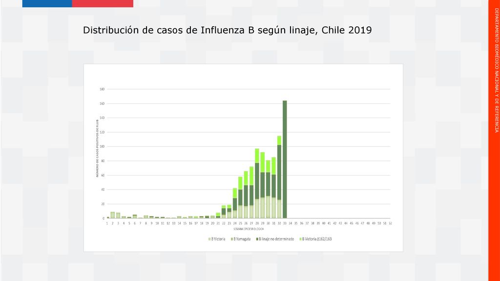 Distribución de casos de Influenza B según linaje, Chile 2019
