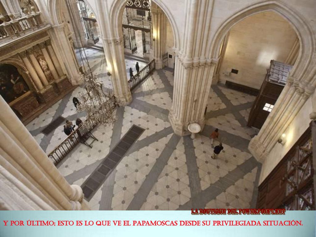 Y por último; esto es lo que ve el Papamoscas desde su privilegiada situación.