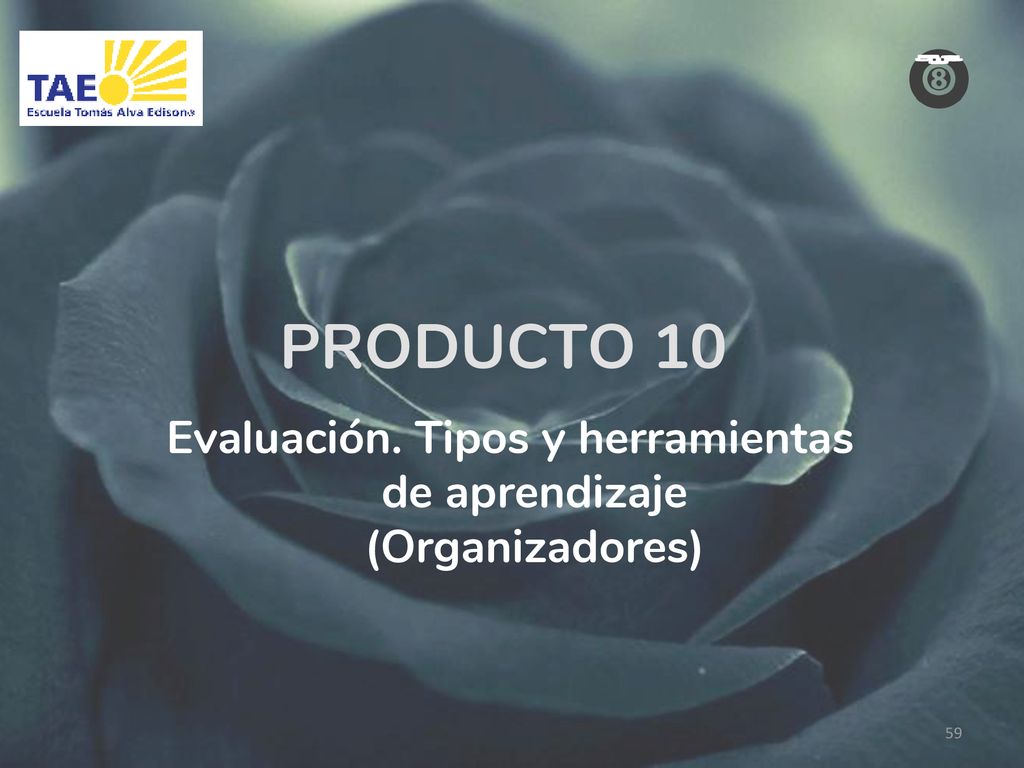 Evaluación. Tipos y herramientas de aprendizaje (Organizadores)